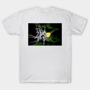 Lemon Migrant T-Shirt